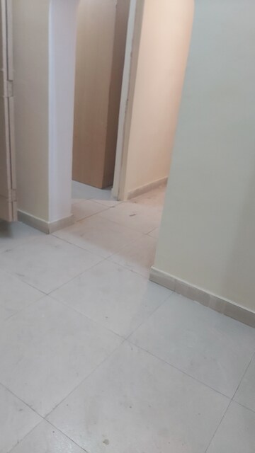 Furnished Amenities in 2.5 BHK Apartment at Mayur Vihar – for Sale