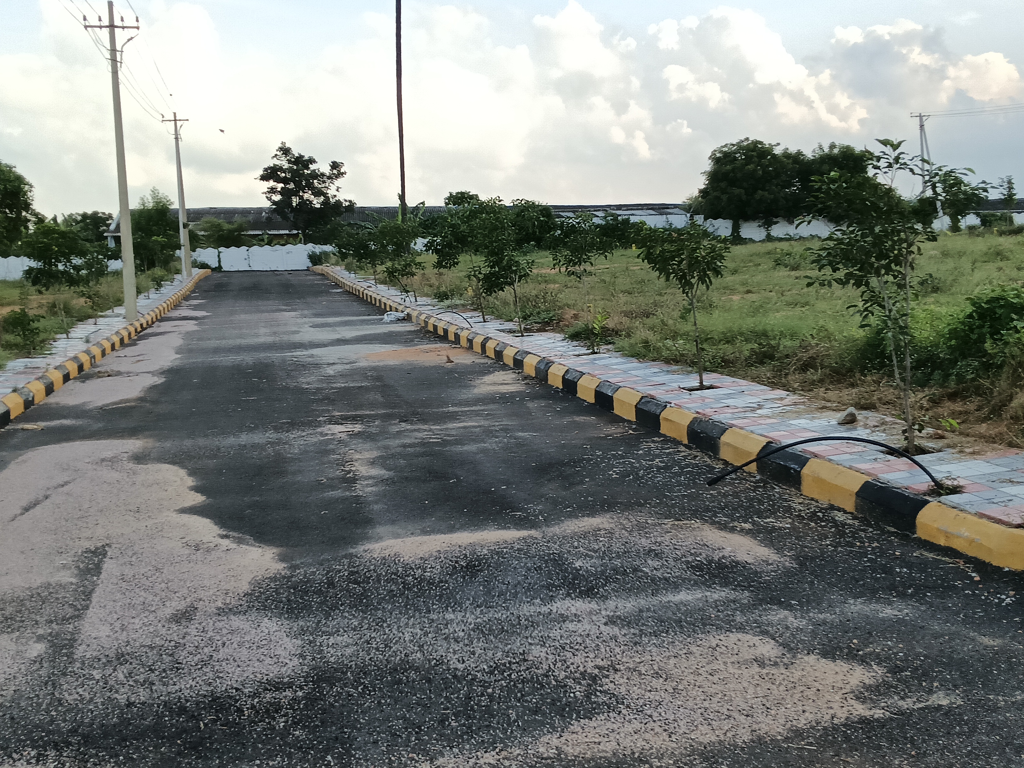 Plot For Resale in Nandikandi Hyderabad  7454959