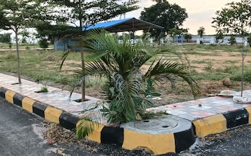 Plot For Sale in Tellapur