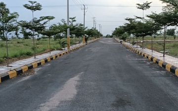 Plot For Sale in Ashok Nagar