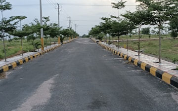 Plot For Sale in Ashok Colony