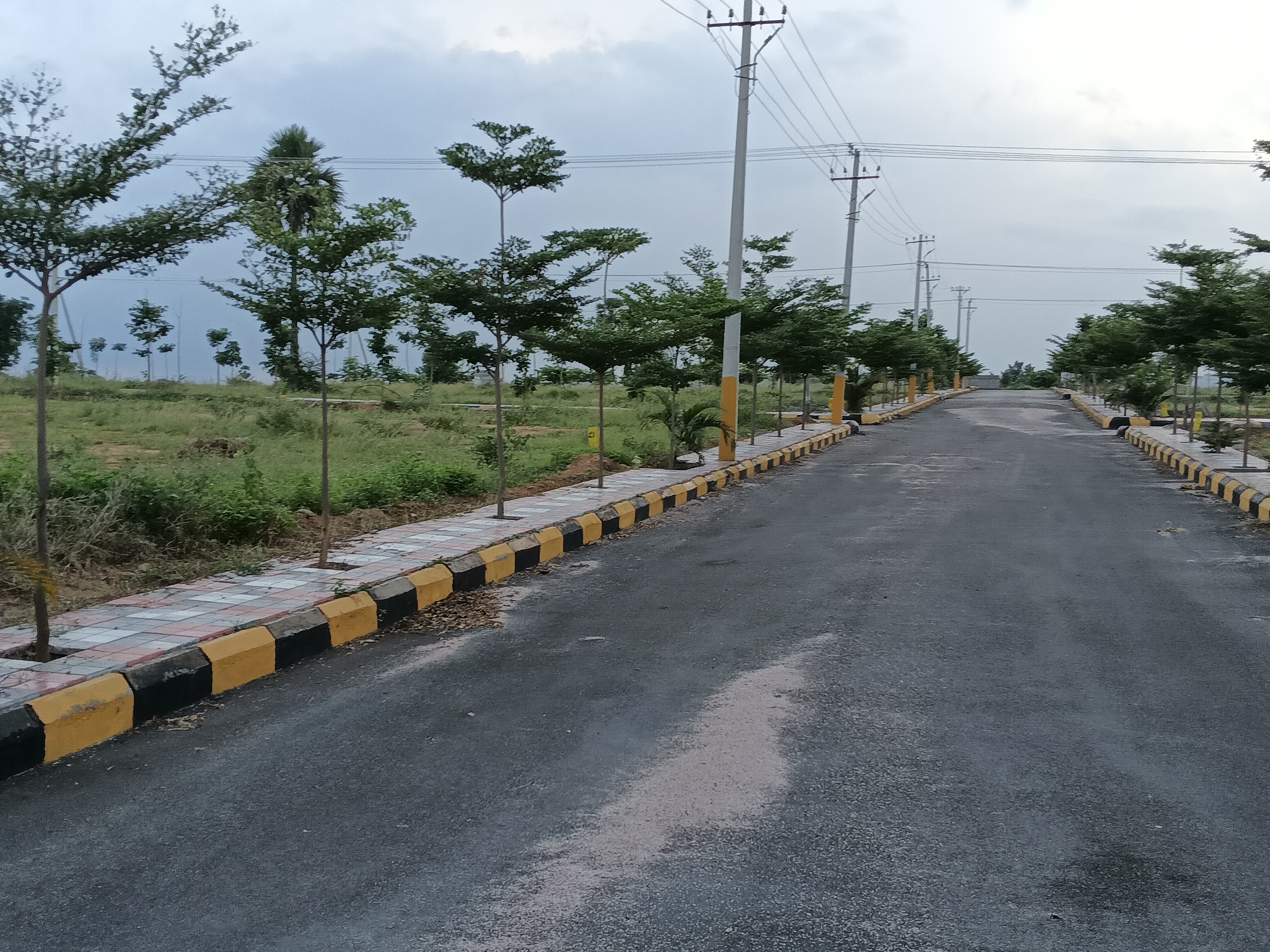 Plot For Resale in Bhel Hyderabad  7455122