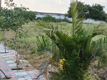  Plot – Exterior View View at Pragathi Nagar - for Sale