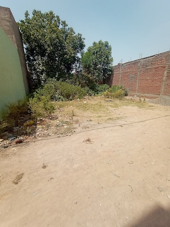 Plot For Resale in Rajgarh Jhansi  7455370