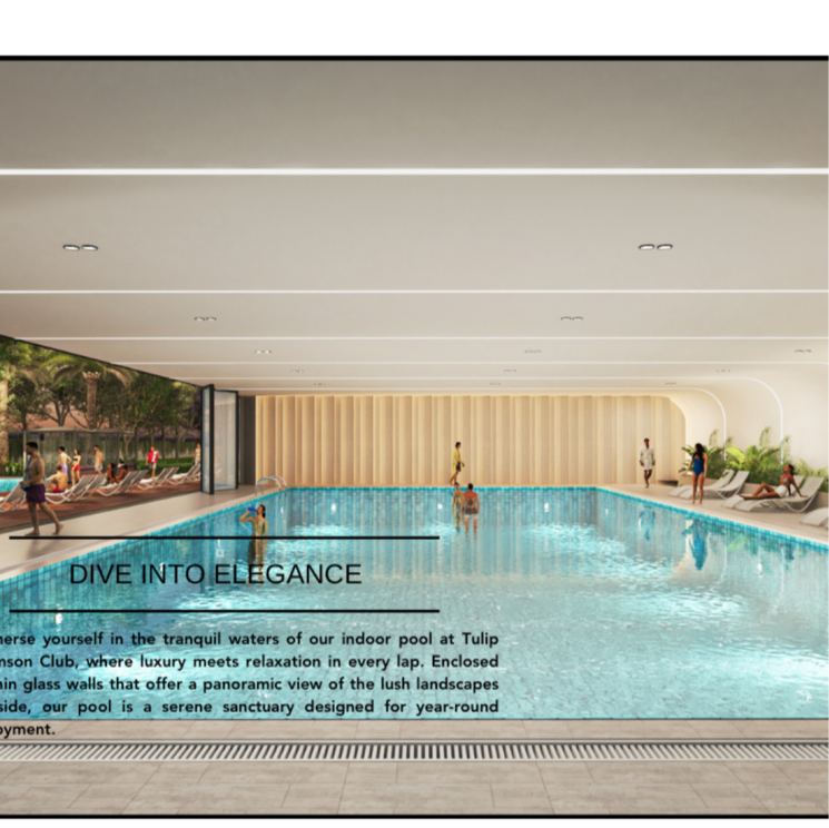 Swimming Pool, tulip-crimson 5 Bedroom 3090 Sq.Ft. Apartment In Sector 75 Gurgaon 7455493