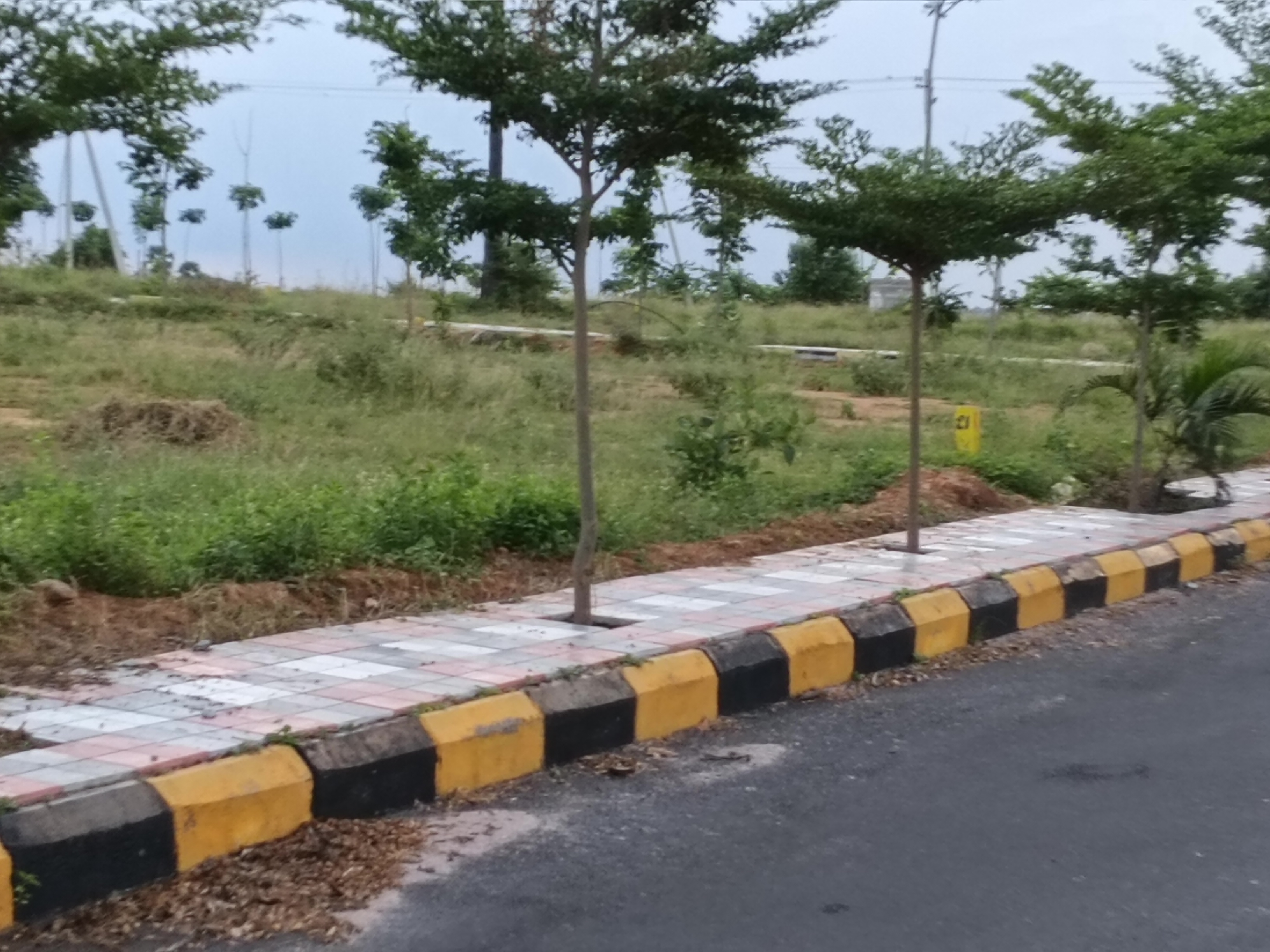 Plot For Resale in Kukatpally Hyderabad  7455614