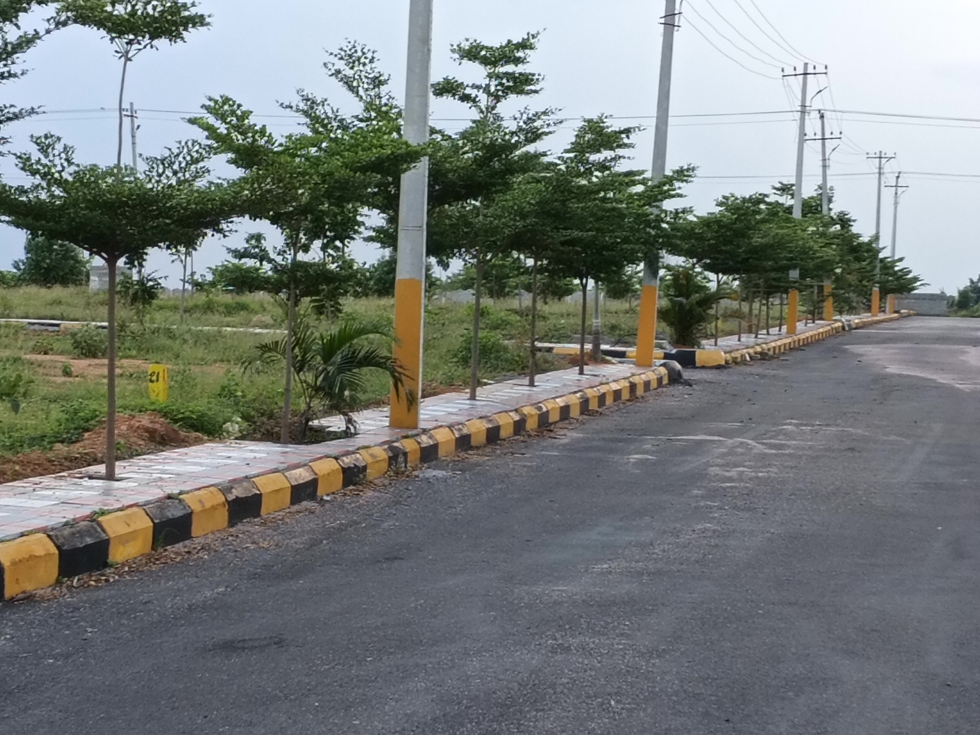 Plot For Resale in Ankushapur Hyderabad  7455643