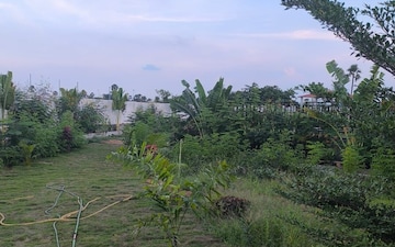 Plot For Sale in Khairatabad