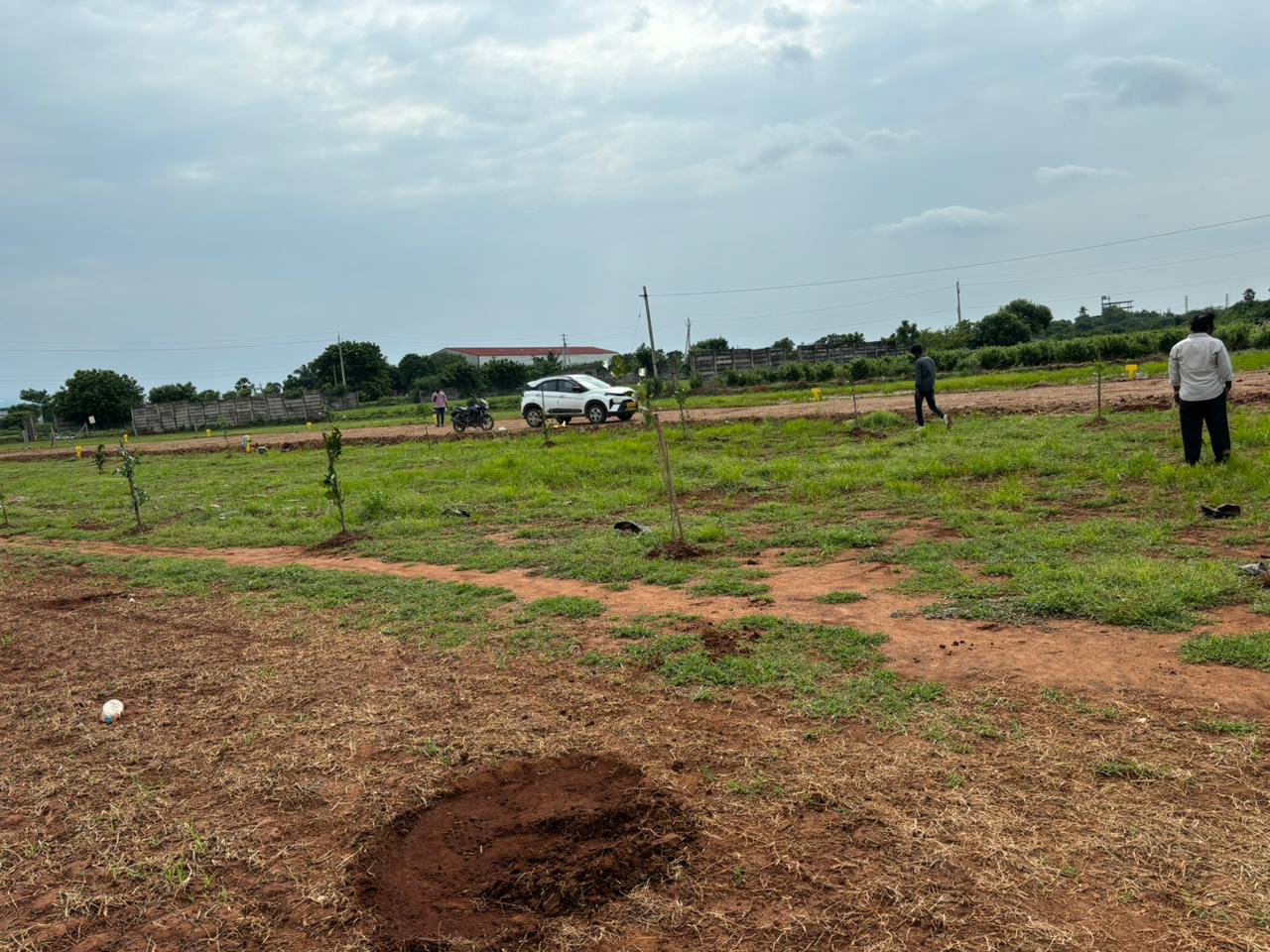 Plot For Resale in Mangalagiri Vijayawada  7456259