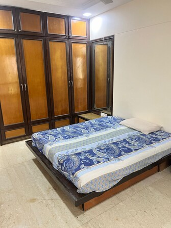 1 BHK Apartment For Rent in Poonam Apartments Worli Worli Mumbai  7456167