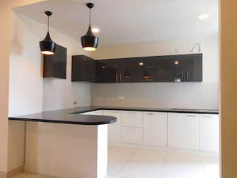 3 BHK Apartment For Resale in Highland Park Chandigarh Bhabat Zirakpur  7456165