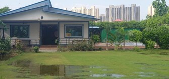 Plot For Resale in Gulavali Noida  7456348