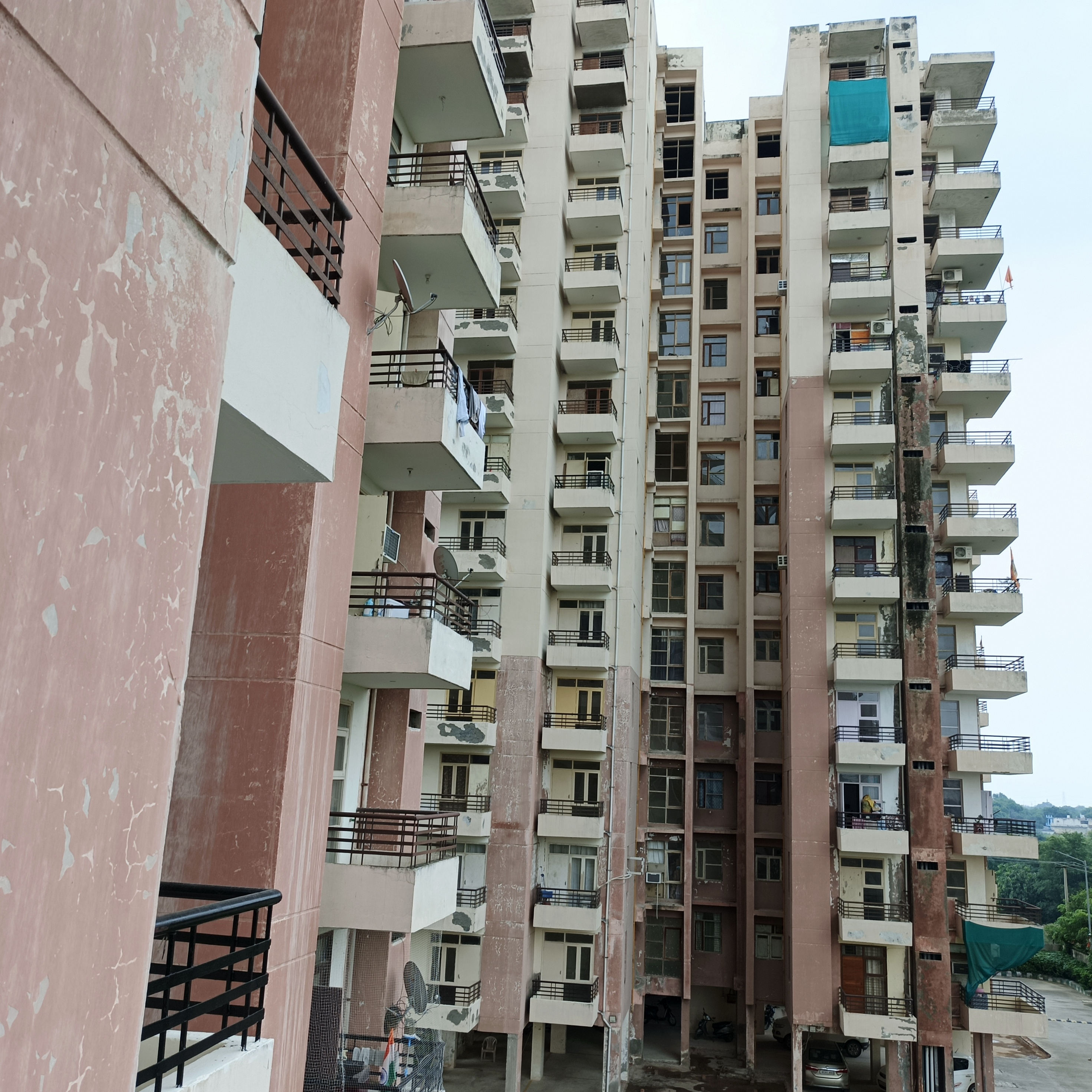 3 BHK Apartment For Rent in Zion Stonecrop And Celeste Garden Sector 78 Faridabad  7456712