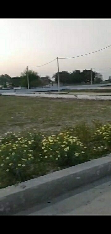  Plot For Sale in Unitech Unihomes 3, Sector 113