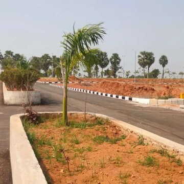  Plot – Exterior View View at Peddapur - for Sale