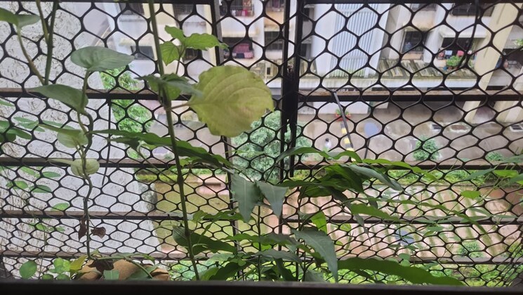 Balcony, lodha-casa-bella-gold 1 Bedroom 585 Sq.Ft. Apartment In Dombivli East Thane 7457616