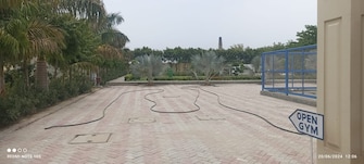 Plot For Resale in Mansha Oaks Sector 98 Faridabad  7457917