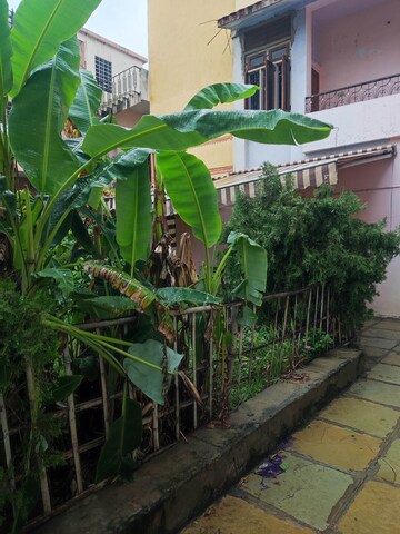 4 BHK Independent House – Exterior View View at Akeda Chaud - for Sale