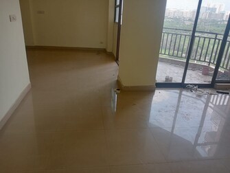 3 BHK Apartment For Rent in Ardee City Palm Grove Heights Sector 52 Gurgaon  7458167