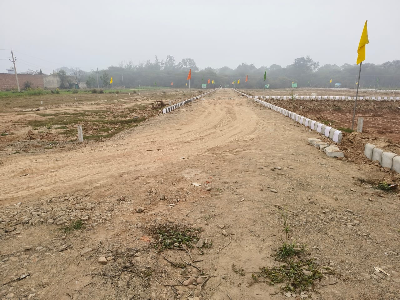 Plot For Resale in Pari Chowk Greater Noida  7458194