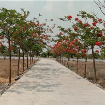  Plot – Exterior View View at Nardaha - for Sale
