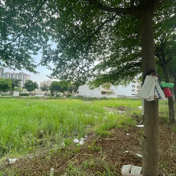 Plot Area in  Plot at BPTP Amstoria, Sector 102 – for Sale