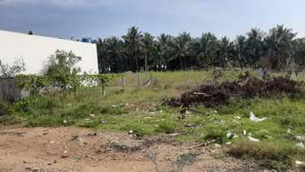 Plot For Resale in Edulabad Hyderabad  7411184