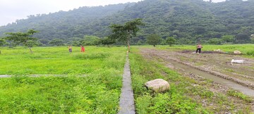  Plot – Exterior View View at Raipur Road - for Sale
