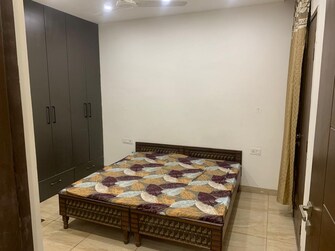 3 BHK Apartment For Rent in Aerocity Mohali  7460120