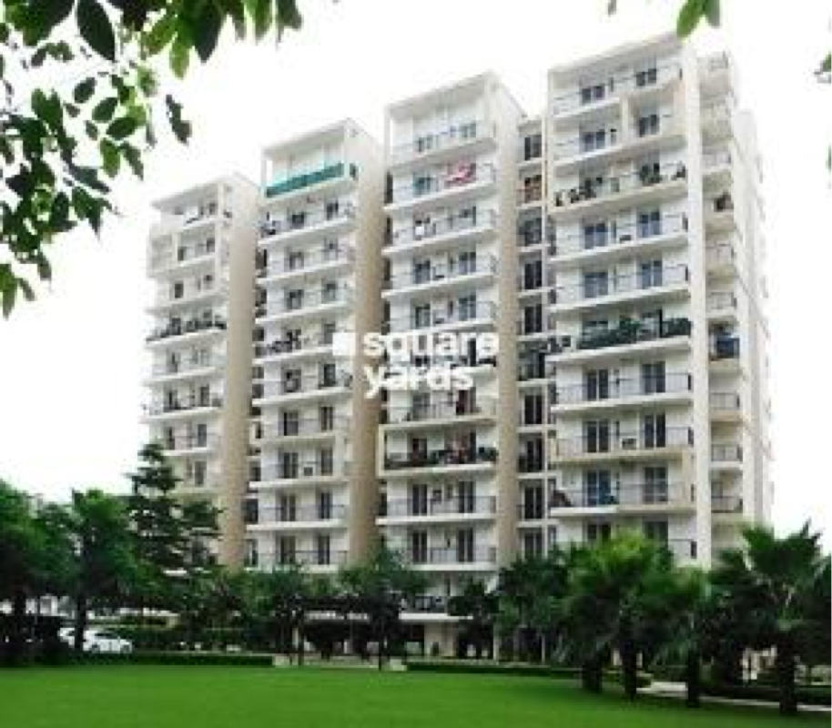 3 BHK Apartment For Rent in Highland Park Chandigarh Pabhat Zirakpur  7460154