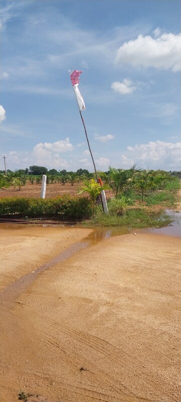  Plot – Exterior View View at Bibinagar - for Sale