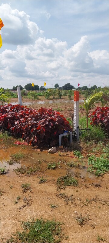  Plot – Garden View at Bibinagar - for Sale