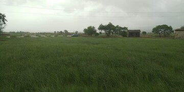 Plot Area in  Plot at Pen – for Sale