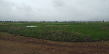 Plot Area in  Plot at Pen – for Sale