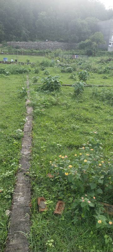  Plot – Garden View at MB Homes, Amwala Uparla - for Sale