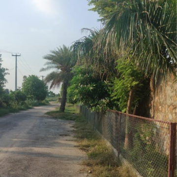  Land – Garden View at Sultanpur - for Sale