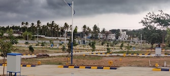 Plot For Resale in Pachpedi Naka Raipur  7460908