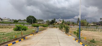 Plot For Resale in Pachpedi Naka Raipur  7460908