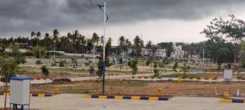 Plot For Resale in Pachpedi Naka Raipur  7460920