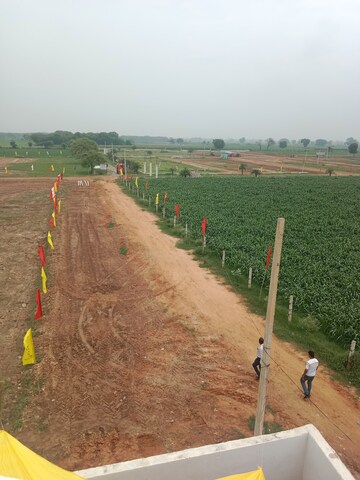 Plot Area in  Plot at Tappal – for Sale