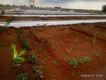  Plot – Garden View at Pudukkottai nh - for Sale