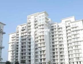 3 BHK Builder Floor For Sale in White Lily Residency, Sonipat Road