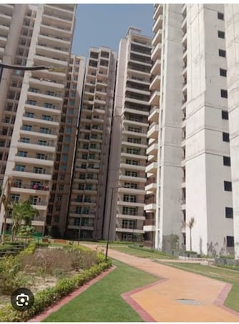 2 BHK Apartment For Resale in JKG Palm Court Noida Ext Sector 16c Greater Noida  7462658