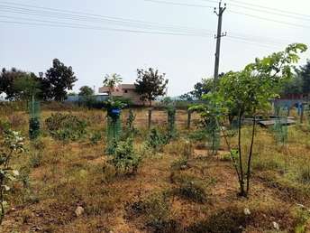 Commercial Land 17500 Sq.Ft. For Rent in Dwaraka Nagar Nizamabad  7463087