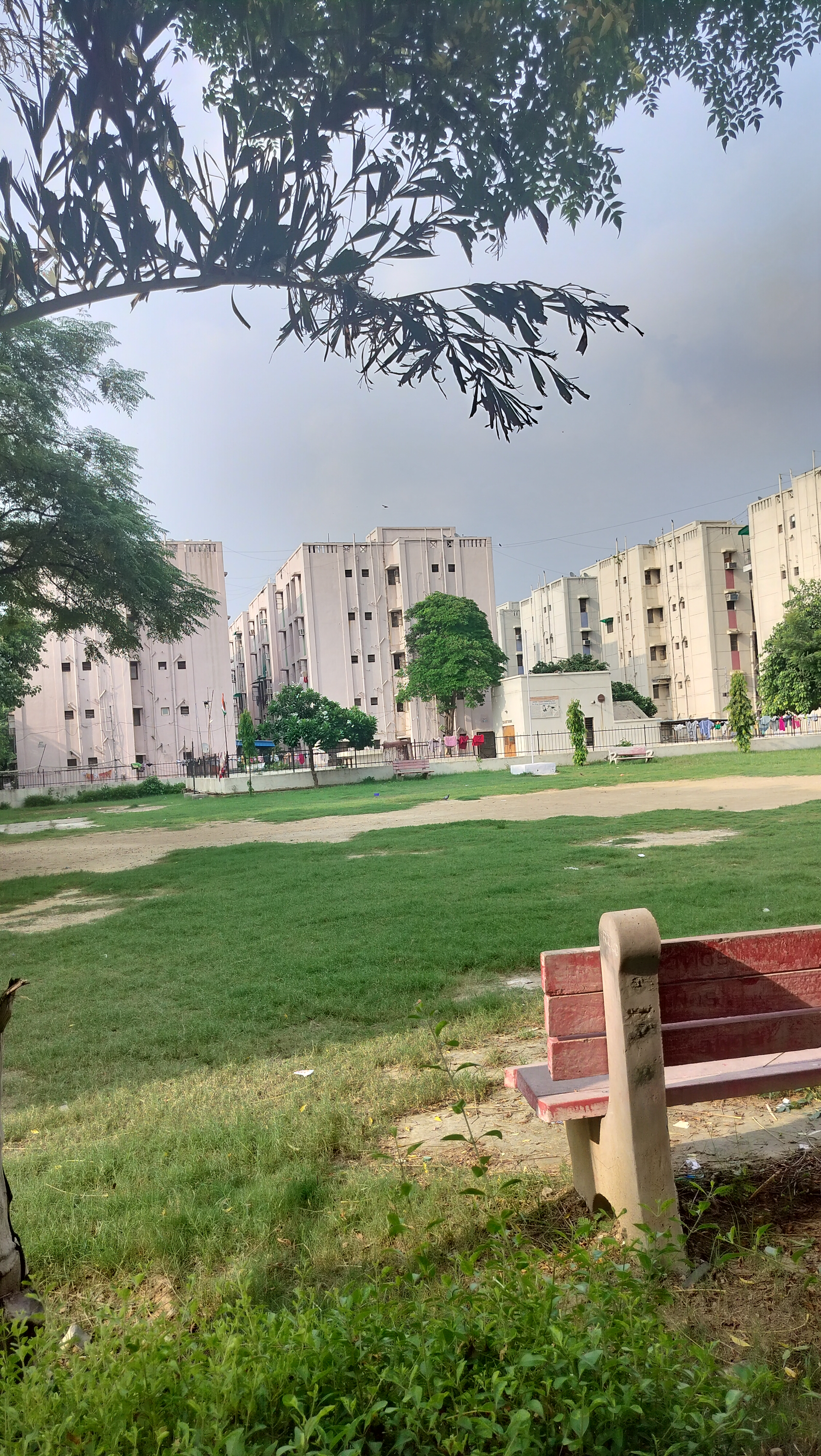 1 BHK Apartment For Rent in Sector 23 Dwarka Delhi  7463253