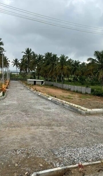  Plot For Sale in Mysore Road