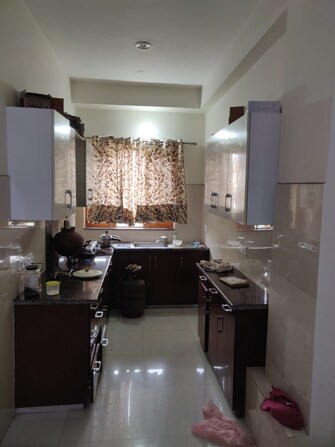 2 BHK Builder Floor For Rent in Sector 133 Noida  7463629