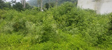  Plot – Exterior View View at Dehradun Cantt - for Sale