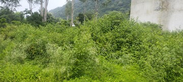  Plot – Exterior View View at Dehradun Cantt - for Sale