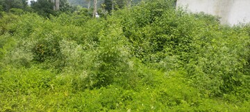  Plot – Exterior View View at Dehradun Cantt - for Sale